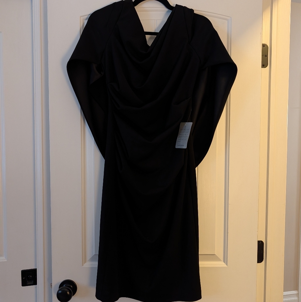 Cape Sleeve Crepe Sheath Dress